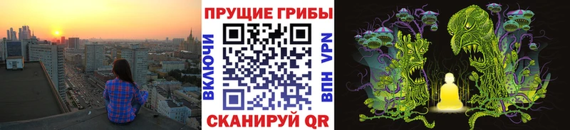 Псилоцибиновые грибы мухоморы  Купить закладки  Петухово 